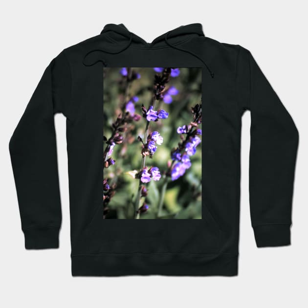 Flower of sage Hoodie by Gourmetkater